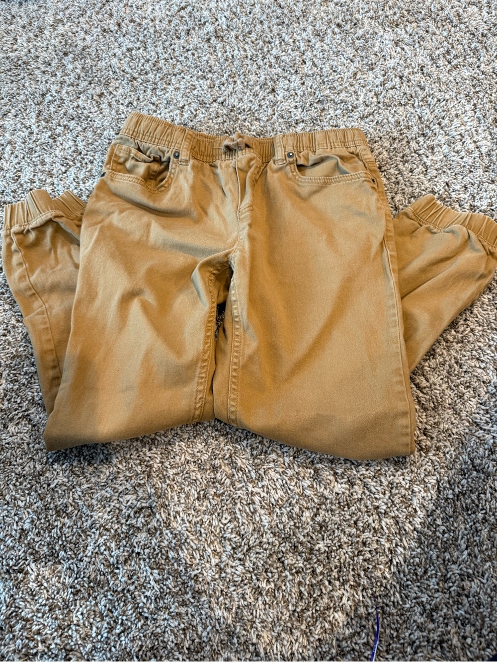Levi's Jogger Pants in Camel Brown